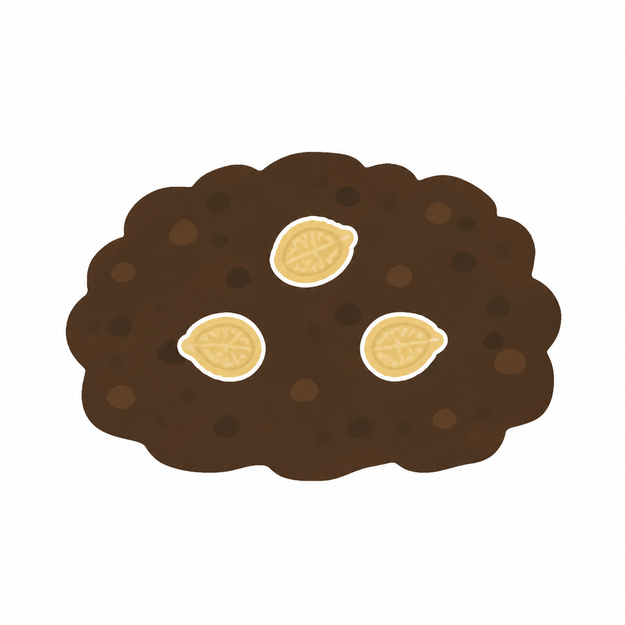 トマトの種のイラスト